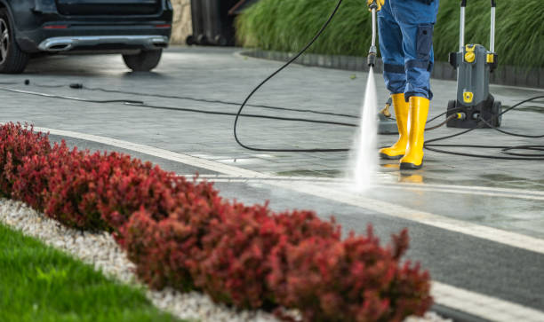 Best Gutter Cleaning  in Parsons, WV